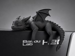 Bébé dragon endormi
